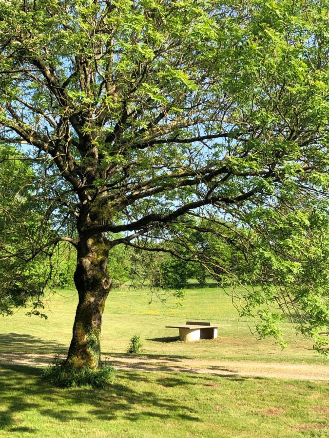 Domaine De Tapies 2 Gites Jusqu A 19 Personnes Cornus ภายนอก รูปภาพ